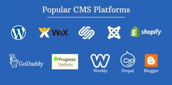 Build A World Class Website With These Leading CMS Platforms